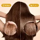 BQA007 3.webp