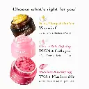 MDC2 5.webp