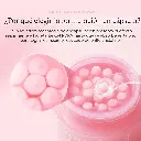 MDC4 4.webp